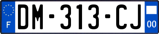 DM-313-CJ