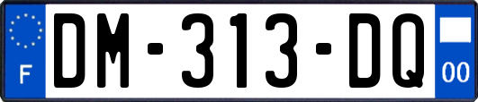 DM-313-DQ