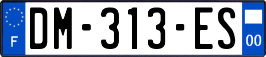 DM-313-ES