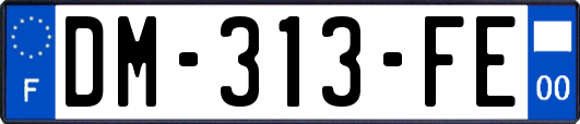 DM-313-FE