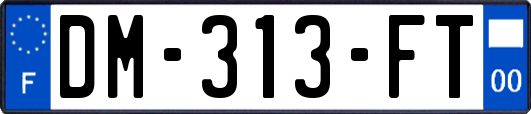 DM-313-FT