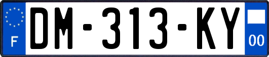 DM-313-KY