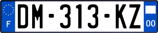 DM-313-KZ
