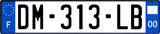 DM-313-LB