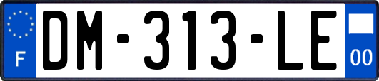 DM-313-LE