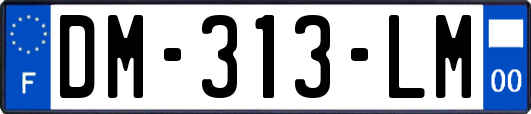 DM-313-LM