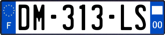 DM-313-LS