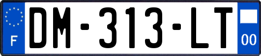 DM-313-LT