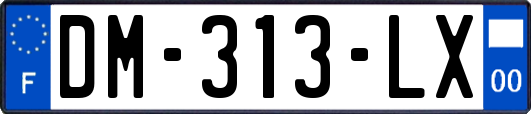 DM-313-LX