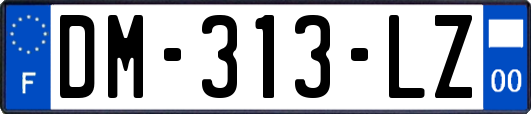 DM-313-LZ