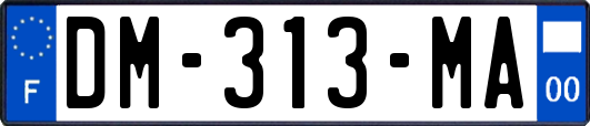 DM-313-MA
