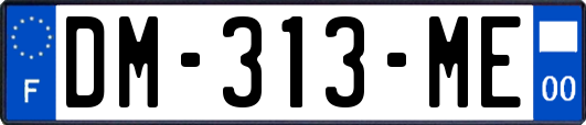 DM-313-ME