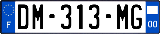 DM-313-MG