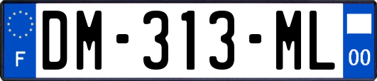 DM-313-ML