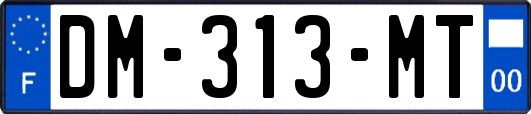 DM-313-MT