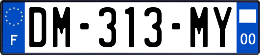 DM-313-MY