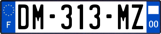 DM-313-MZ