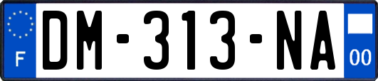 DM-313-NA