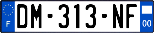 DM-313-NF