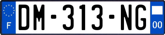 DM-313-NG