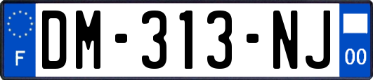 DM-313-NJ