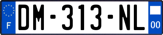 DM-313-NL