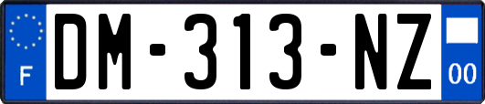 DM-313-NZ
