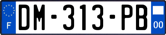 DM-313-PB