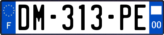 DM-313-PE