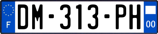 DM-313-PH