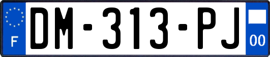 DM-313-PJ