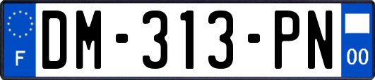 DM-313-PN