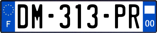 DM-313-PR