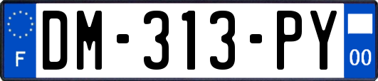 DM-313-PY