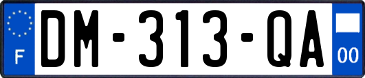 DM-313-QA