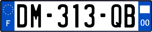 DM-313-QB