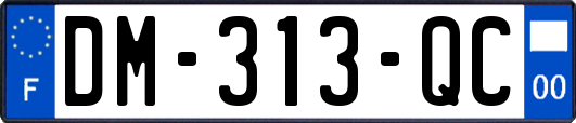 DM-313-QC
