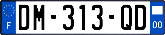 DM-313-QD