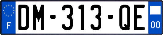 DM-313-QE