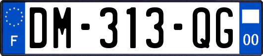 DM-313-QG