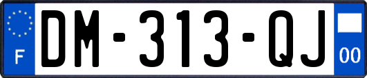 DM-313-QJ