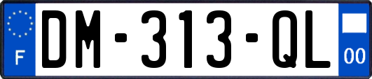 DM-313-QL
