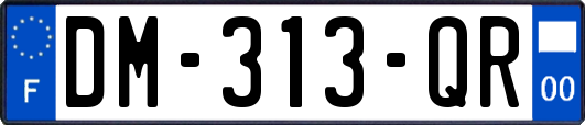 DM-313-QR