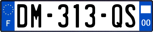 DM-313-QS