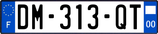 DM-313-QT