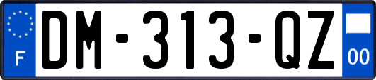 DM-313-QZ