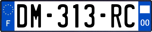 DM-313-RC