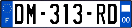 DM-313-RD