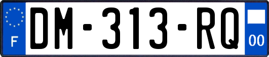 DM-313-RQ