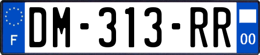 DM-313-RR